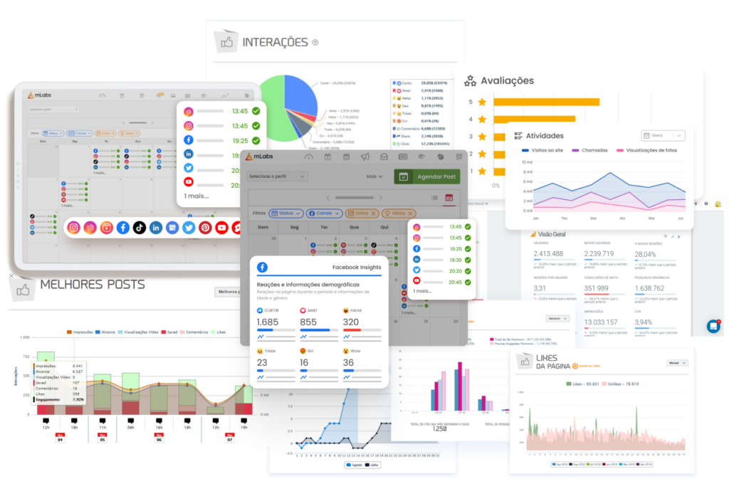 imagens de relatorios e dashboards de marketing veterinário